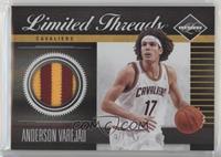 Anderson Varejao #/25