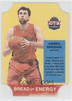 Andrea Bargnani