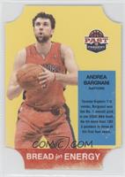 Andrea Bargnani