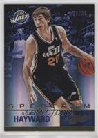 Gordon Hayward #/25