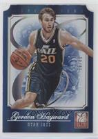 Gordon Hayward #/80