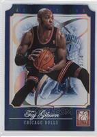 Taj Gibson #/78