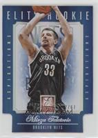 Mirza Teletovic #/67