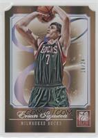 Ersan Ilyasova #/24