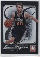 Gordon Hayward