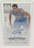 Danilo Gallinari #/92