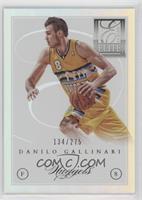 Danilo Gallinari #/275