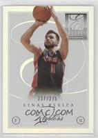 Linas Kleiza #/275