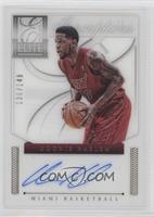 Udonis Haslem #/149