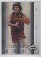 Anderson Varejao #/49