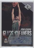 Ersan Ilyasova #/199