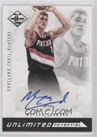 Meyers Leonard #/99