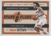 Anderson Varejao