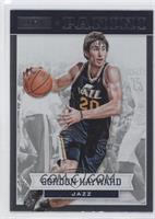 Gordon Hayward