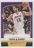 Pau Gasol