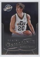 Gordon Hayward