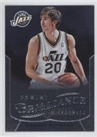 Gordon Hayward