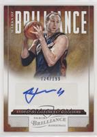 Zydrunas Ilgauskas #/199