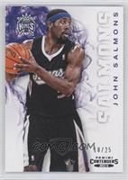 John Salmons #/25