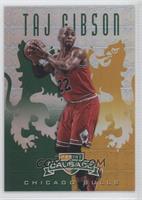 Taj Gibson #/25