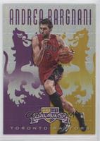 Andrea Bargnani #/49