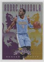 Andre Iguodala #/49