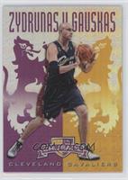 Zydrunas Ilgauskas #/49