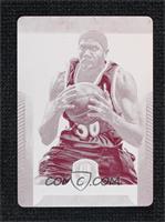 Rasheed Wallace (Atlanta Hawks) #/1