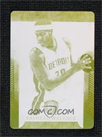 Rasheed Wallace (Detroit Pistons) #/1