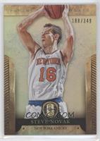 Steve Novak #/349