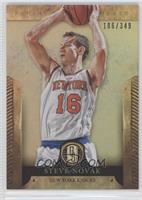 Steve Novak #/349