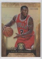 Nate Robinson #/349