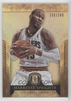 Marreese Speights #/349