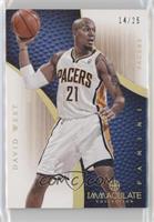 David West #/25