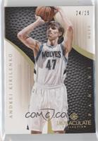 Andrei Kirilenko #/25