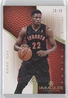 Rudy Gay #/25