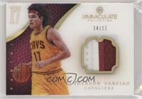 Anderson Varejao #/17