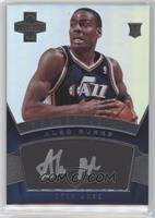 Alec Burks