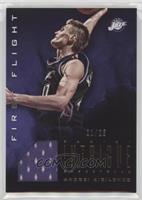 Andrei Kirilenko #/25