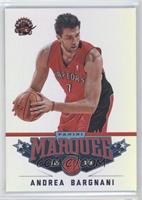 Andrea Bargnani