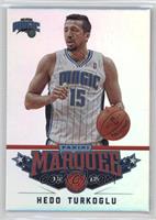 Hedo Turkoglu