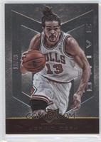 Joakim Noah #/49