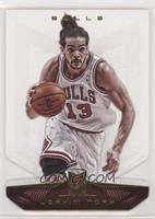 Joakim Noah #/25