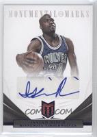 Isaiah Rider #43/49