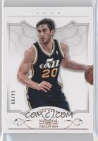 Gordon Hayward #/99