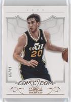 Gordon Hayward [EX to NM] #/99