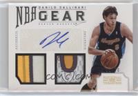 Danilo Gallinari #/10