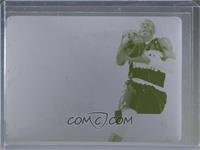 Andre Iguodala #/1