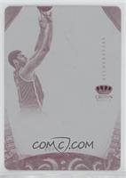 Silhouettes - Brook Lopez #/1