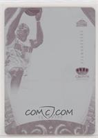 Silhouettes - Ty Lawson #/1